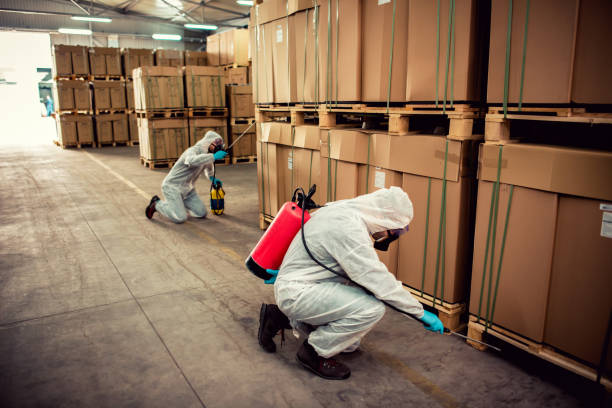 Best Pest Prevention Services  in Toulon, IL