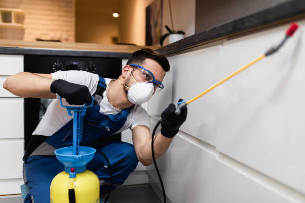 Best Cockroach Control Services  in Toulon, IL