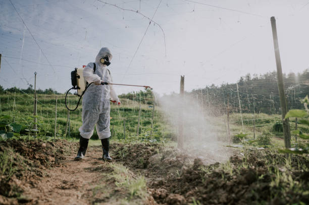 Best Pest Removal Services  in Toulon, IL