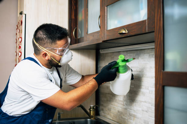 Best Local Pest Control Services  in Toulon, IL