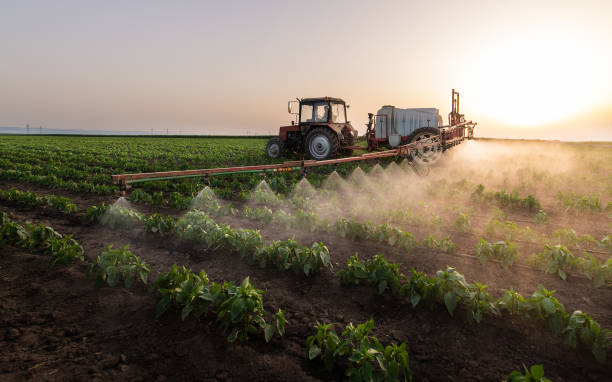 Best Ant Control Services  in Toulon, IL