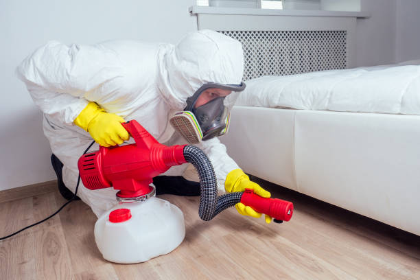 Best Pest Control for Businesses  in Toulon, IL