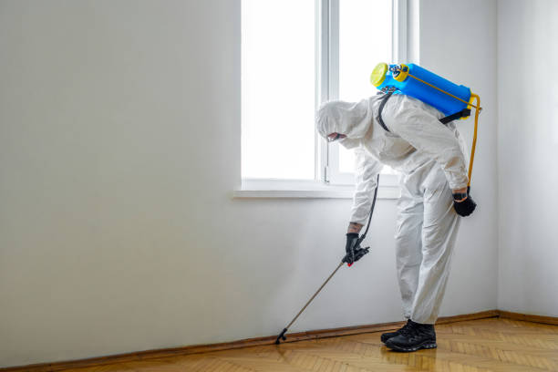 Best Best Pest Control Companies  in Toulon, IL