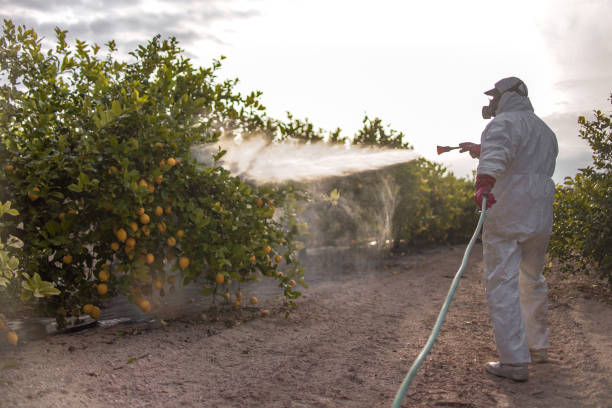 Best Wildlife Control Services  in Toulon, IL