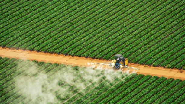 Best Pest Inspection Near Me  in Toulon, IL