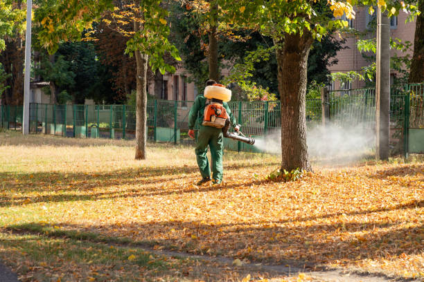 Best Pest Control Near Me  in Toulon, IL