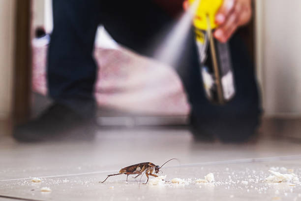 Trusted Toulon, IL Pest Control Experts