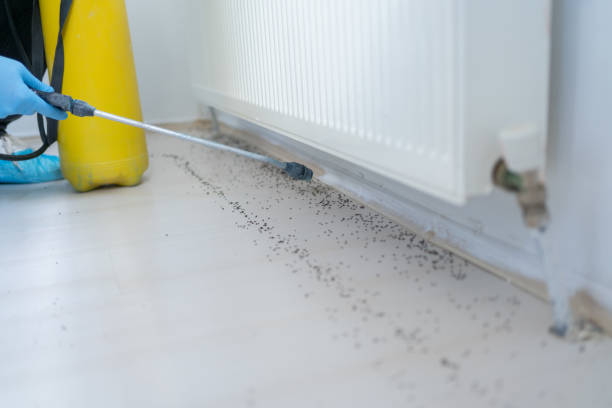 Best Pest Prevention Services  in Toulon, IL