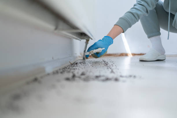 Best Emergency Pest Control  in Toulon, IL