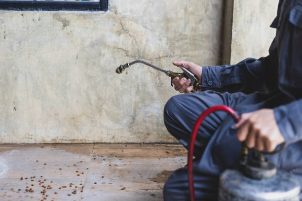Best Affordable Pest Control Services  in Toulon, IL