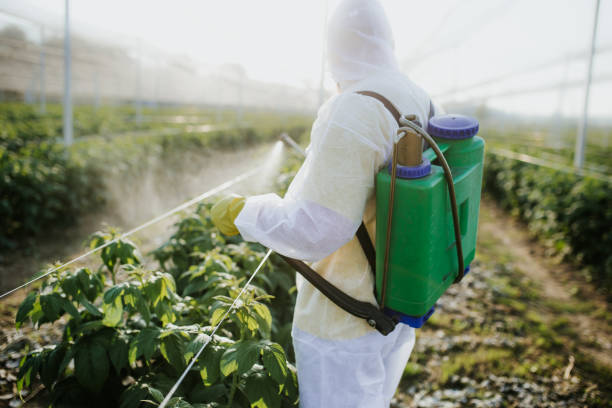Best Pest Control Near Me  in Toulon, IL